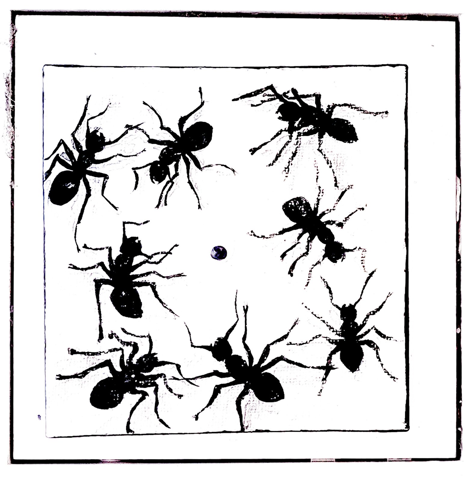 Black print of ants circling inside a frame