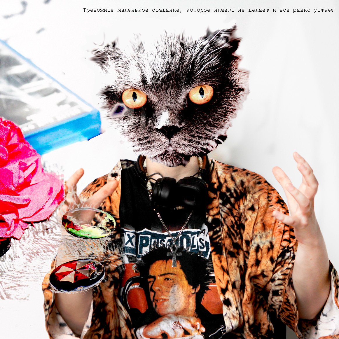 Photo montage of a cat head over a patterned shirt
