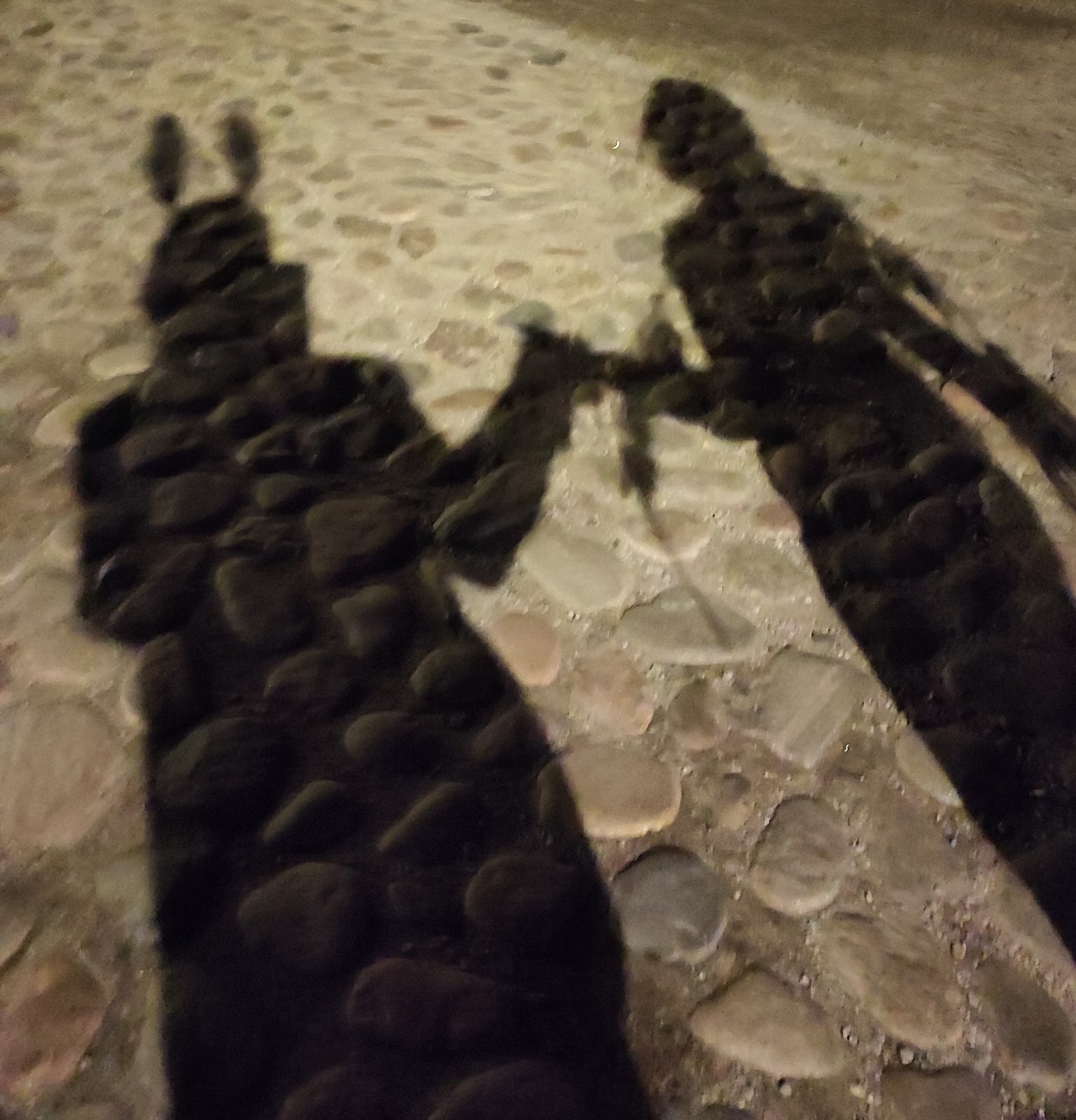 Two long shadows with ears and feathers on cobblestones