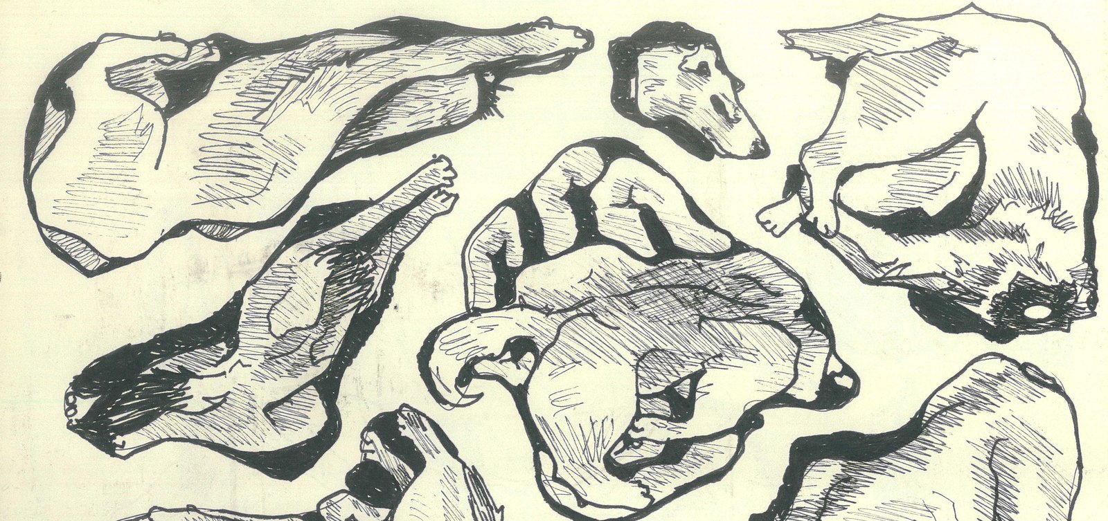 Ink studies of sleeping dogs